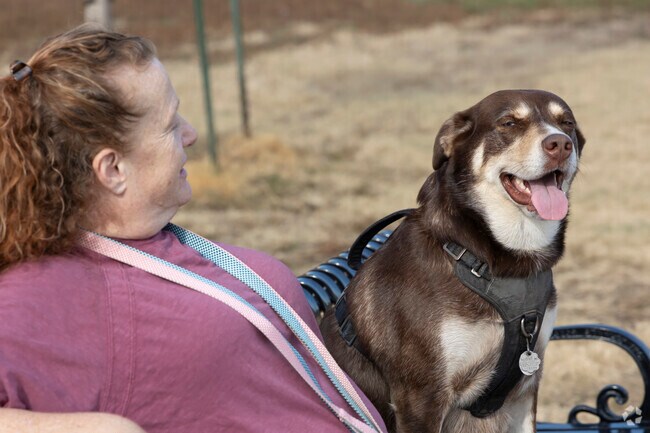 Dogwood Park in Lee’s Summit offers off-leash fun for dogs from Chapel Ridge.