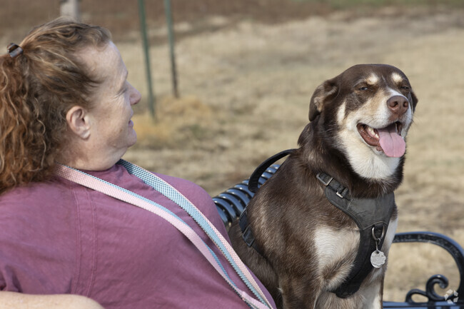 Take your very good dog to the off-leash park for dogs at Dogwood Park in Lee's Summit.