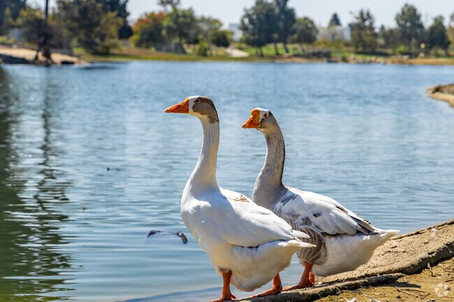 Residents can enjoy the various wildlife around Magic Johnson Park.