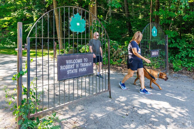 Dog walking is a popular activity at Robert H Treman State Park in Ithaca.
