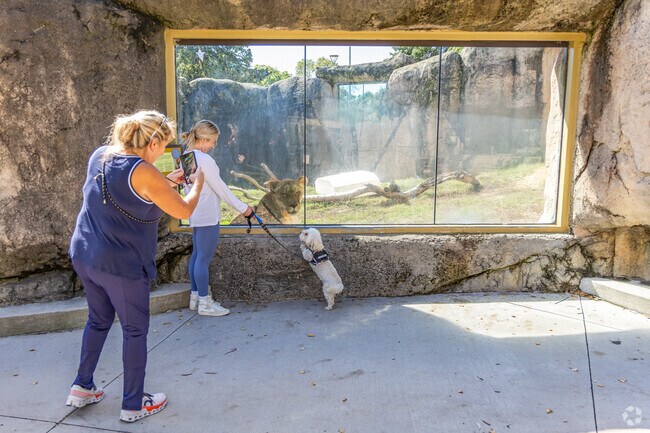 Bring your dog to meet the lions at the Racine Zoo near the Lakecrest neighborhood.