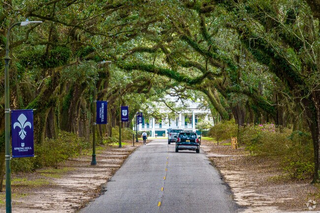 The Avenue of the Oaks is another great spot for a walk under tall Oak Trees near Llanfair.