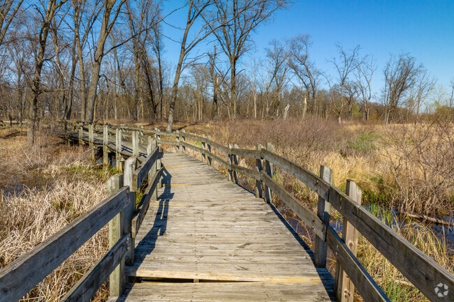 Visit Gibson Woods near North Hessville to see the variety of plants in a dune ecosystem.