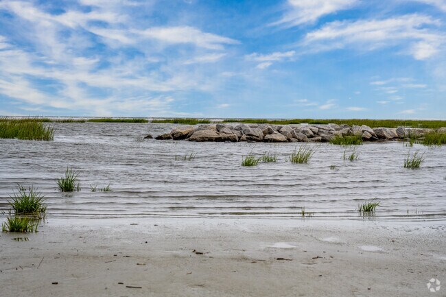 You can enjoy the natural beaches near Palmetto Hall.
