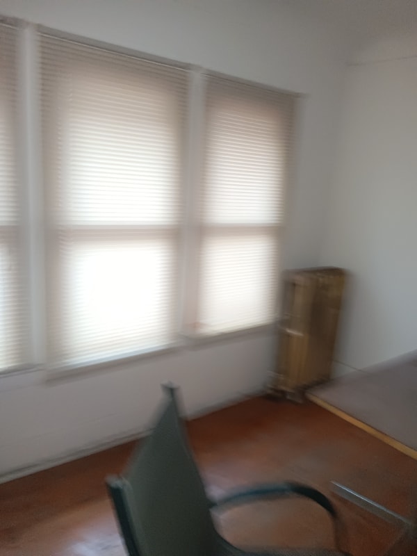 4218 W Buena Vista St Unit 2, Detroit, MI 48238