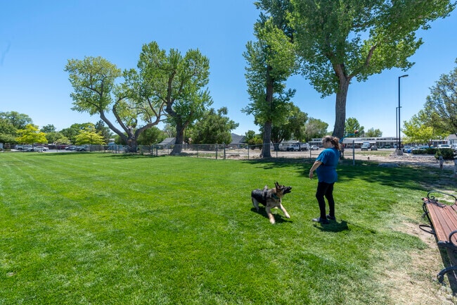 Capitol Hill has an abundance of parks in the community, many of which allow dogs off-leash.