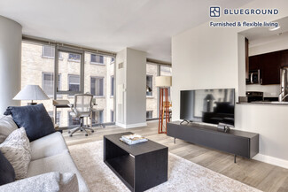 210 N Wells St Unit FL16-ID671, Chicago, IL 60606
