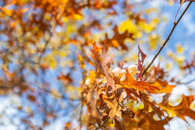 Breathe in the fresh autumn air living in Hudson, PA.