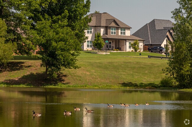 Geese visit one of the ponds in the Little Flock neighborhood.