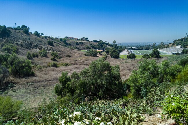 Worsham Canyon has wilderness trails to hike.