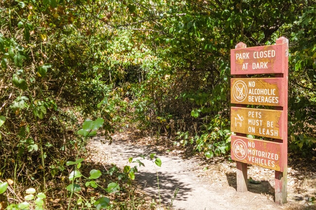 Dog Local dog parks give pups room to run in Annandale.
