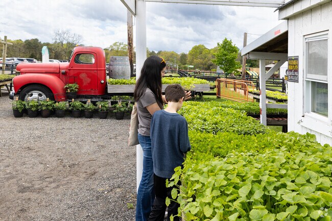 Fink's Farm in Ridge is as much a nursery as is a fun farm for family fun.