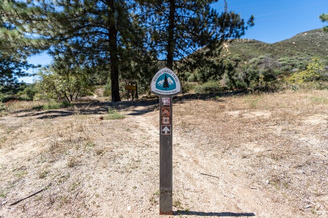 You can find hiking trails and camping in nearby Green Valley.