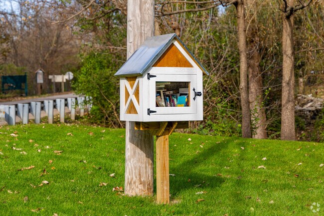 Little libraries encourage a sense of communal learning in Trout Valley.