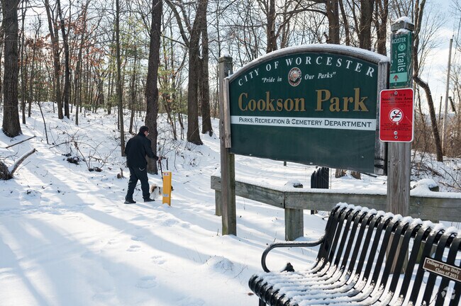 Locals love walking their dogs at Cookson Park in North Quinsigamond Village.