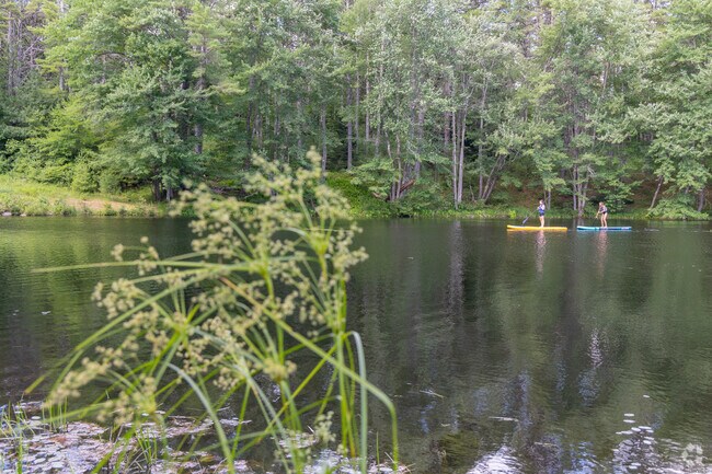 A couple of stand up paddle boarders enjoy the serene waters of Black Brook State Park.