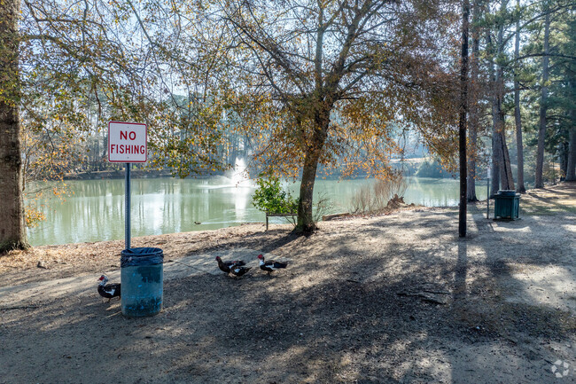Local ducks make the many ponds and and small lakes their home in Dothan.