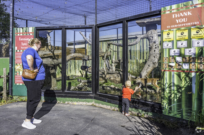 This child fell in love with the Eurasian Lynx at Red River Zoo near Meadowridge.