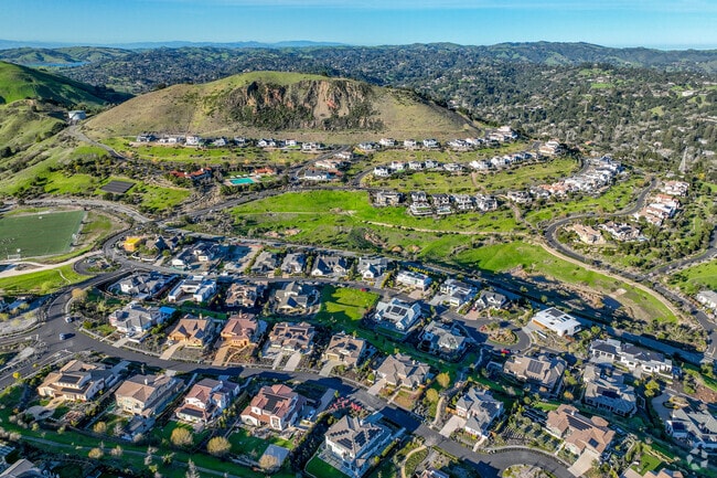 Wilder showcases the neighborhood's lush landscapes and elegant homes.