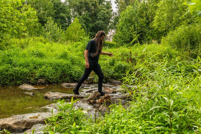 Take a walk by Meadows Creek in The Meadows.