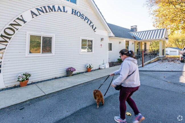 A woman is bringing her dog in for an evaluation at the animal hospital.