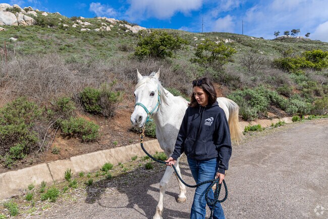 Equestrian facilities make Rancho San Diego an attractive neighborhood for horse enthusiasts.