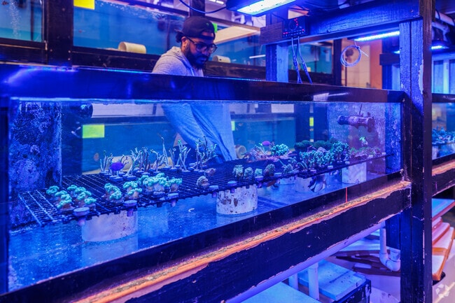 CTE Aquatics in Mays Chapel covers fish, reptile, and invertebrate needs.