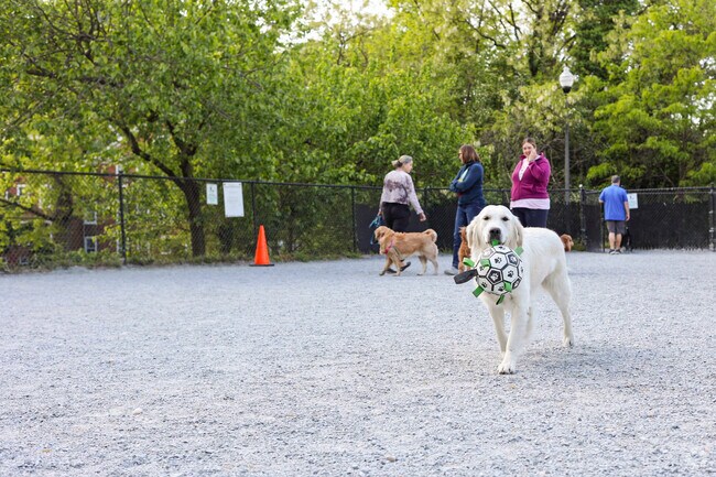 Let your best friend out to play with friends at Newark Park dog park in Cathedral Heights.