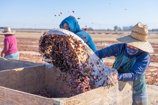 Many Earlimart residents work on nearby farms surrounding the area.