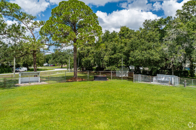 Kids enjoy outdoor play on the sports fields at Oldsmar Christian School.