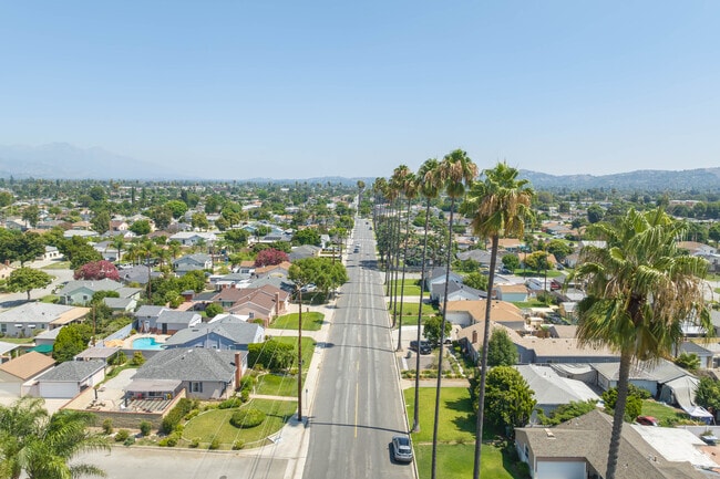 The distinct palm trees of West Covina sit tall on the streets of the Vincent neighborhood.
