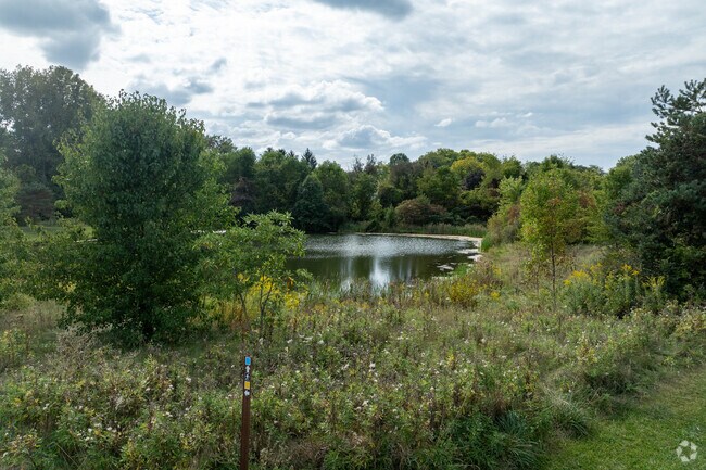 Wildflowers surround the pond at Devonshire Park in Canton, Ohio.