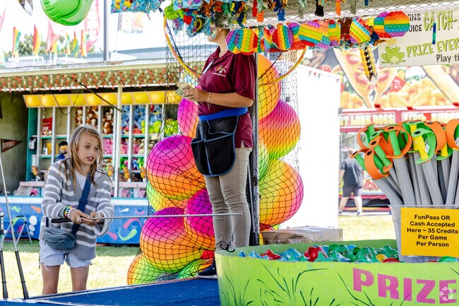 Carnival-goers try their luck at price-winning games at the Prairie Fest in Wood Dale.