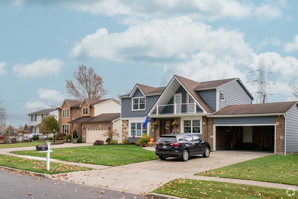 About Raintree Island Schools, Demographics, Things to Do