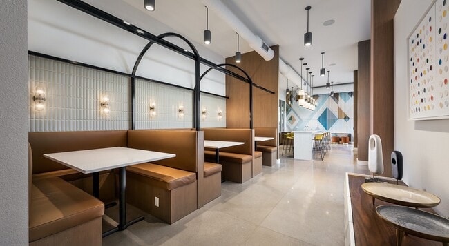 Roadrunner on McDowell, Scottsdale, AZ 85257 - photo 4