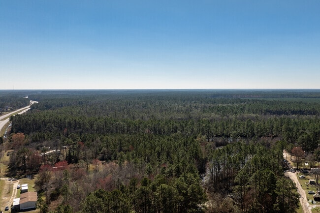 The Okefenokee Swamp is a nature lovers paridise and is full of wonder and wildlife.