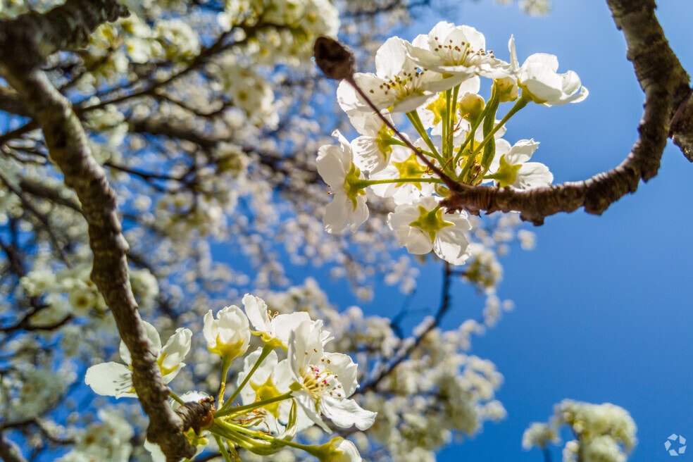 Neighborhood_Calverton_final_092723