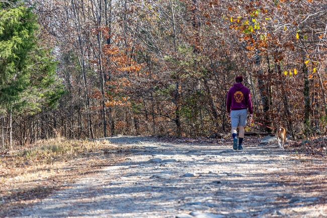 Go on a hike at Blevins Gap Nature Preserve and bring your pup along with you.