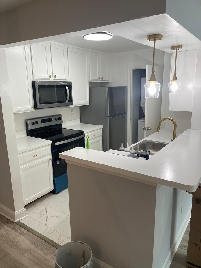 13701 Modrad Way unit 13, Silver Spring, MD 20904 - photo 7