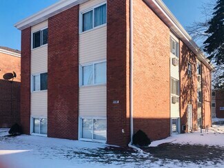 8281 W Elizabeth Ave Unit basement, Niles, IL 60714