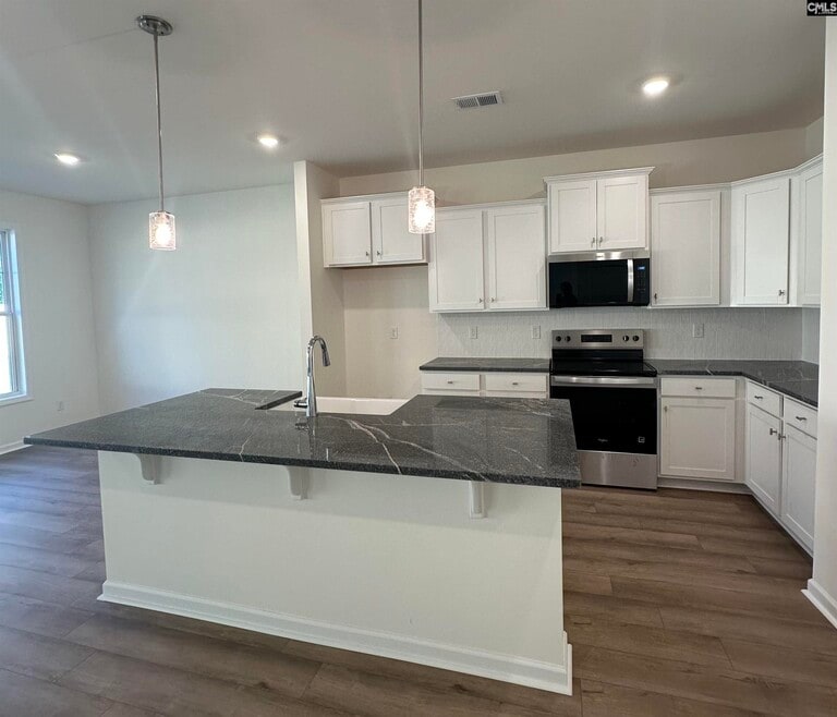 550 Griffon Dr, Chapin, SC 29036 - photo 1