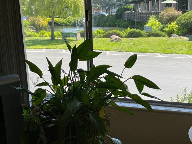 444 Whispering Pines Dr, Scotts Valley, CA 95066 - photo 6