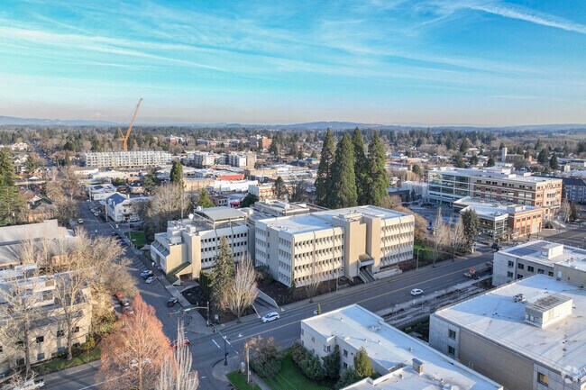 Central HIllsboro is booming into a corporate hub with major employers like Intel and nearby shopping districts.