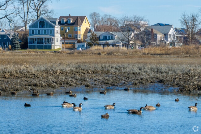 Waterfront properties in South Norwalk have views of wildlife and nature.