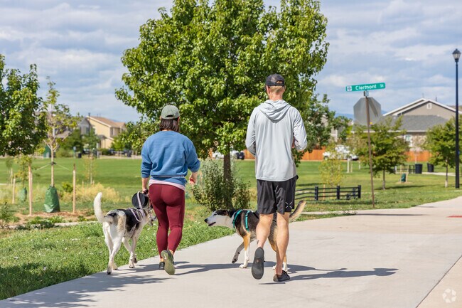 Dog walkers loop the paved walking trails in the South Thornton neighborhood.