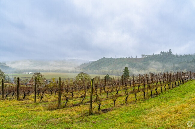 Coeur De Terre Vineyard grows expressive organically farmed Pinot Noir in the heart of McMinnville.