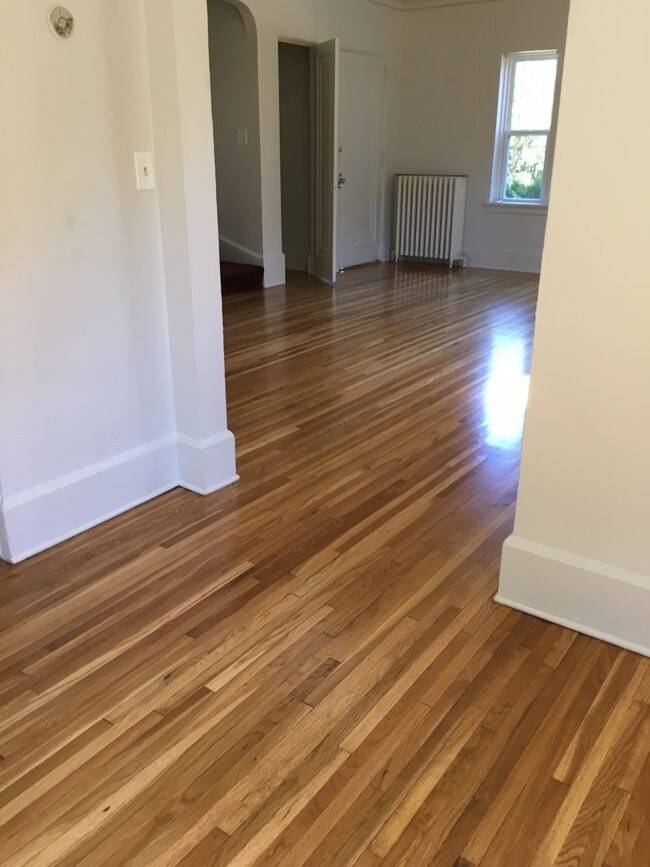 2417 E 3rd St unit 2 E, Duluth, MN 55812 - photo 7