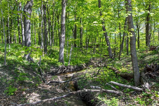 With many wooded areas, homeowners value the privacy and children enjoy the adventures.