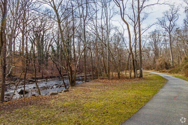 Walkers walk on trials by the stream on the Northwest Branch Trail.