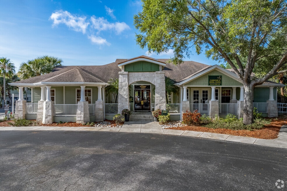 Goldelm at Braden River